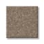 Little Neck Bay Mahogany Texture Carpet with Pet Perfect swatch